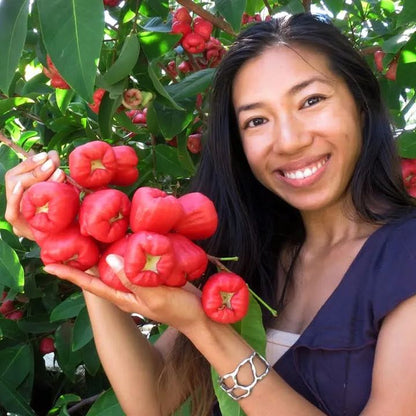 Wax-apple Fruit Seeds 100% Germination Rate