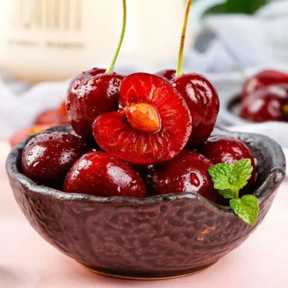 Rainier Cherry Fruit Seeds-Big Fruits, High Yield, Pure Sweetness