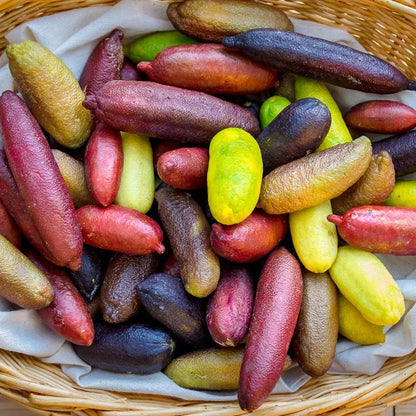 Finger Lime Seeds-Citrus Australasica