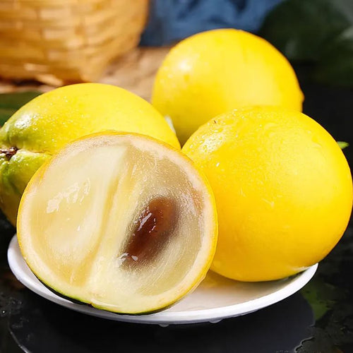 Golden Fruit Seeds - Abiu Fruit-Pouteria Caimito