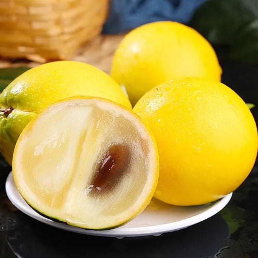 Golden Fruit Seeds - Abiu Fruit-Pouteria Caimito