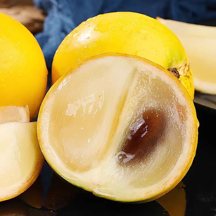 Golden Fruit Seeds - Abiu Fruit-Pouteria Caimito