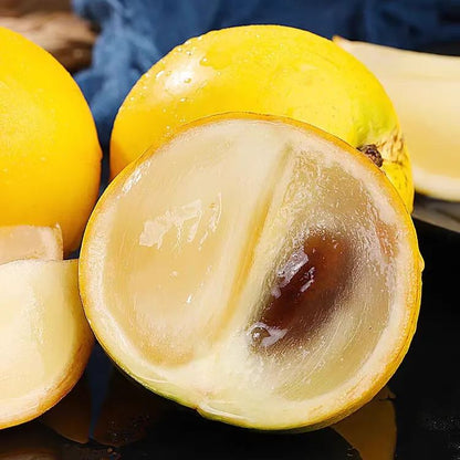 Golden Fruit Seeds - Abiu Fruit-Pouteria Caimito