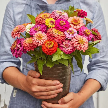 State Fair Mix Zinnia Seeds